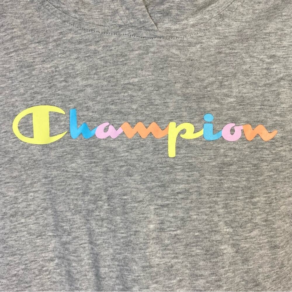 Champion Women’s Gray Pastel Rainbow Logo Hoodie Size XS - Picture 10 of 10